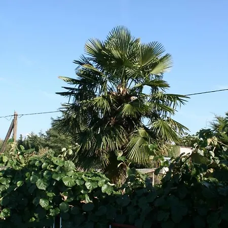 By The Sea Vrsar, Porec - 6944 Apartamento